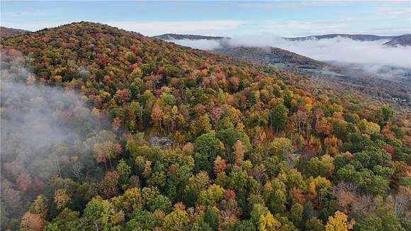 70 Acres of Recreational Land for Sale in Andes, New York