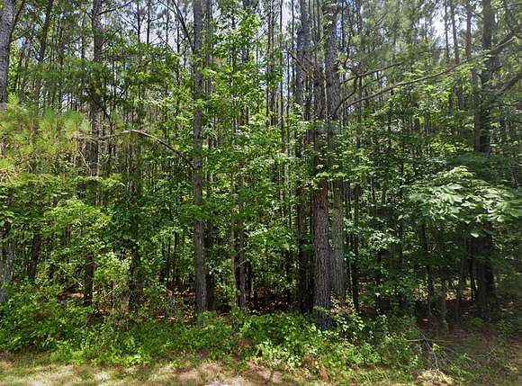 22.8 Acres of Recreational Land for Sale in Jasper, Alabama