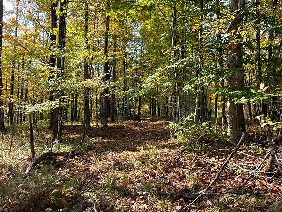 13.02 Acres of Recreational Land for Sale in Colton, New York