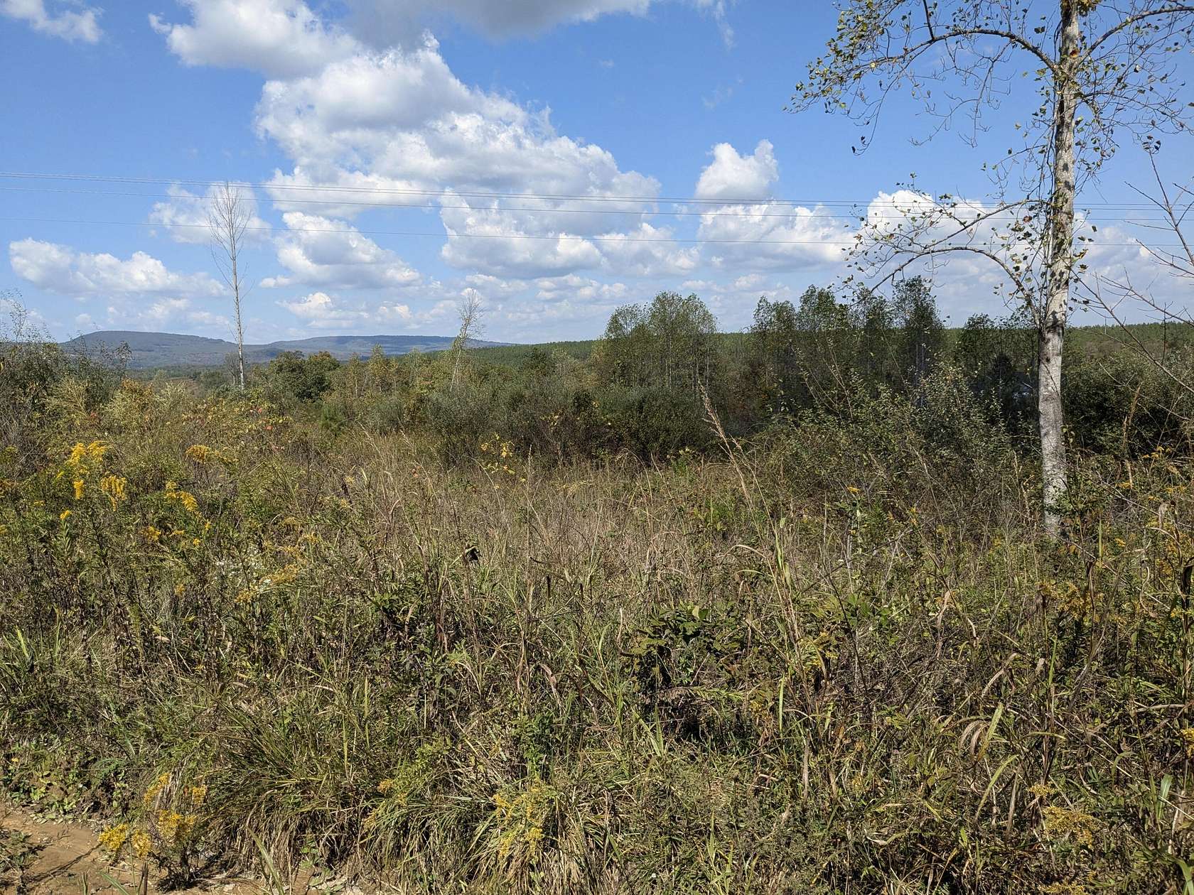 6.87 Acres of Residential Land for Sale in Spring City, Tennessee