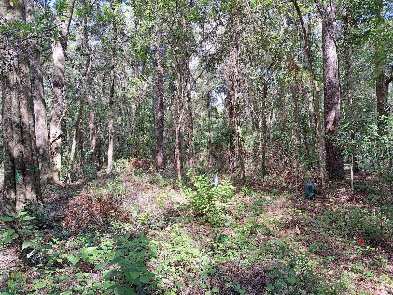 0.25 Acres of Residential Land for Sale in Gainesville, Florida