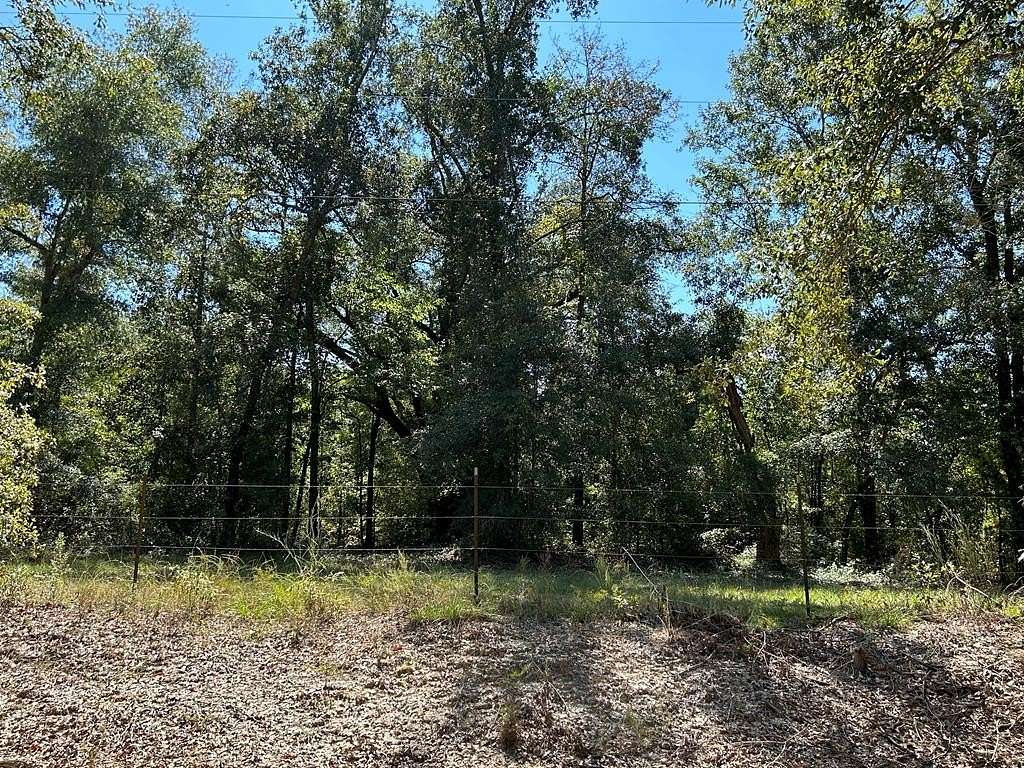 0.94 Acres of Residential Land for Sale in Gordon, Alabama