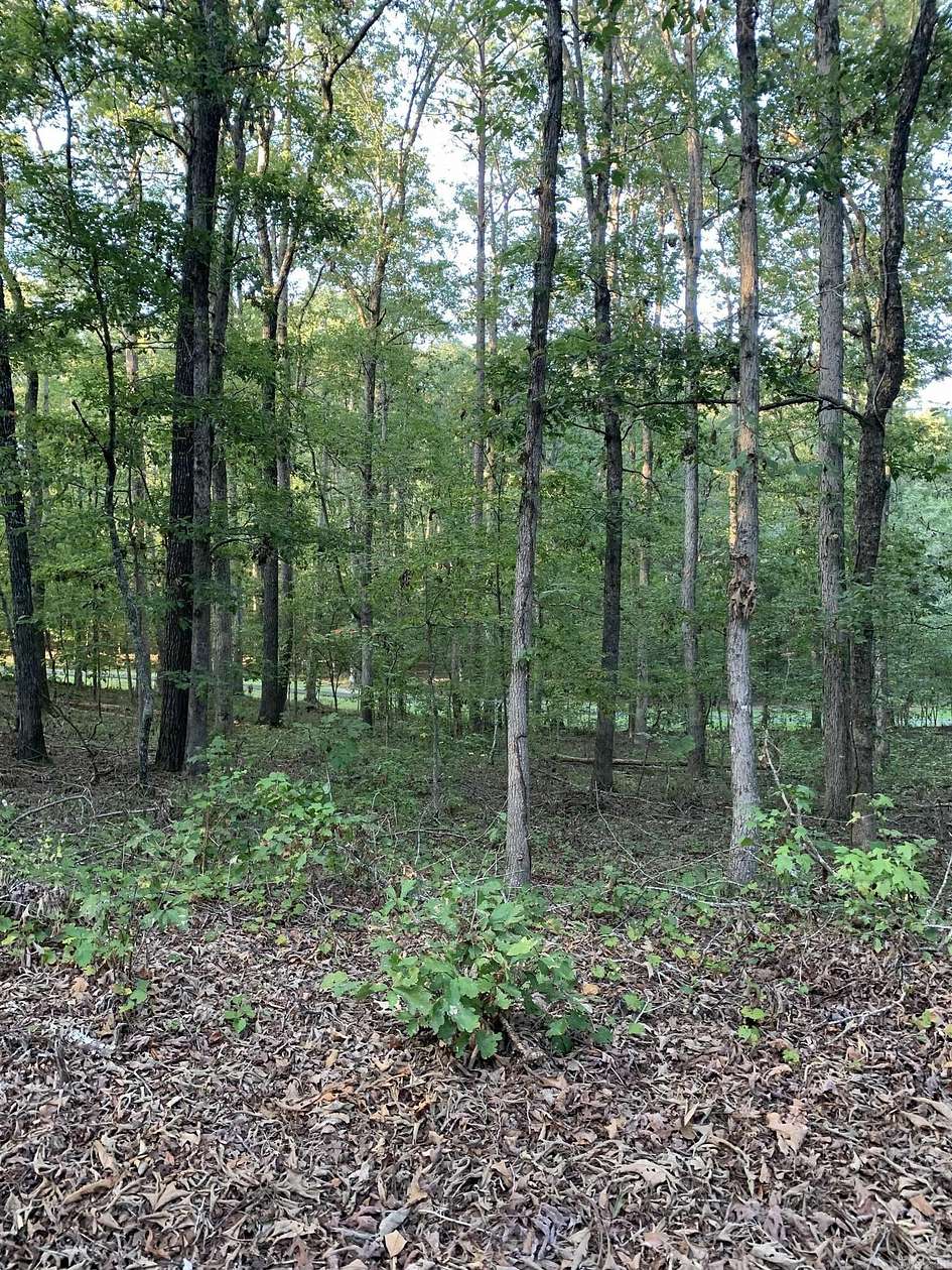 0.26 Acres of Residential Land for Sale in Hot Springs Village, Arkansas