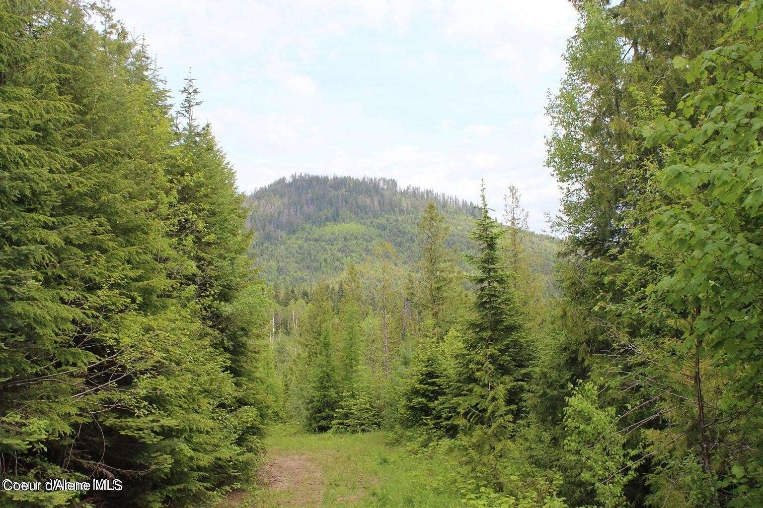 80 Acres of Land for Sale in Priest River, Idaho