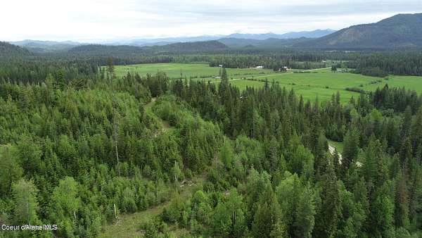 80 Acres of Land for Sale in Priest River, Idaho