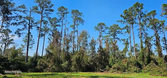 0.52 Acres of Residential Land for Sale in Valdosta, Georgia