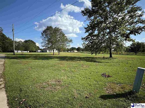 1.32 Acres of Residential Land for Sale in Effingham, South Carolina