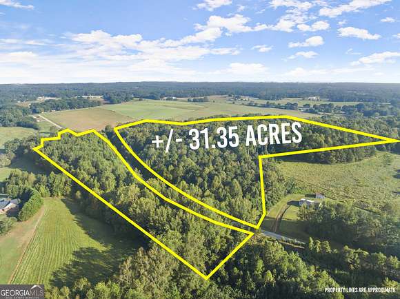 31.35 Acres of Recreational Land for Sale in Lavonia, Georgia