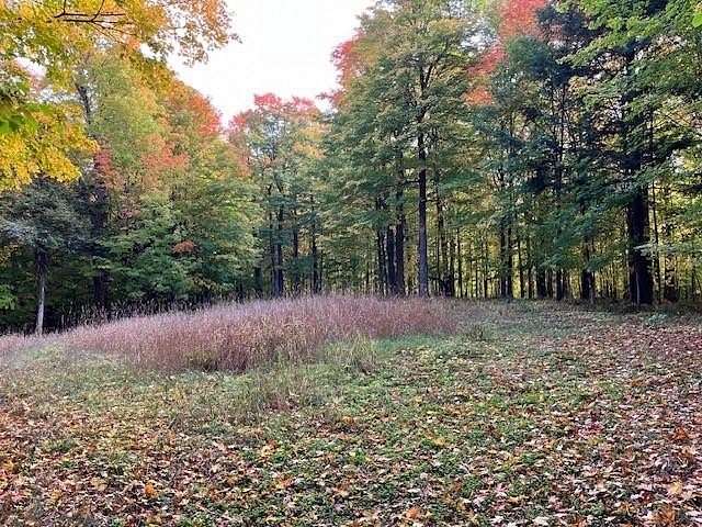 21.49 Acres of Recreational Land for Sale in Phelps, Wisconsin