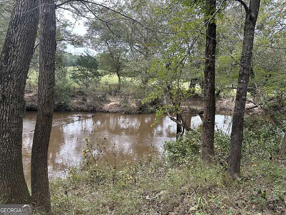 8.85 Acres of Land for Sale in Thomaston, Georgia