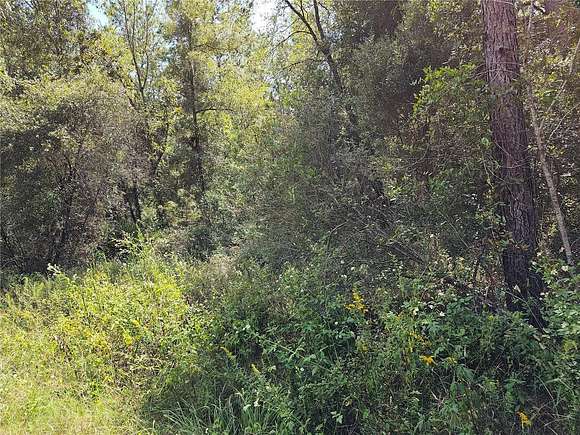 0.27 Acres of Residential Land for Sale in Ocala, Florida