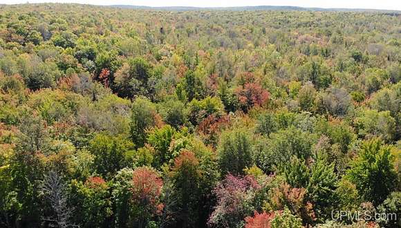 136 Acres of Recreational Land for Sale in Bruce Crossing, Michigan