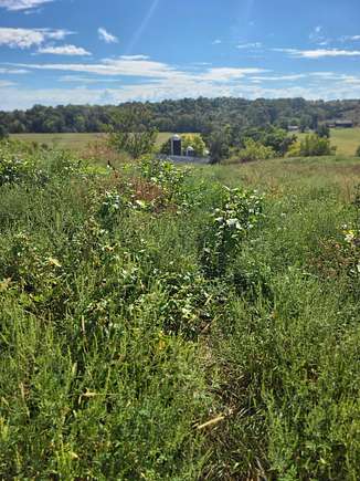 43 Acres of Recreational Land & Farm for Sale in Harrodsburg, Kentucky