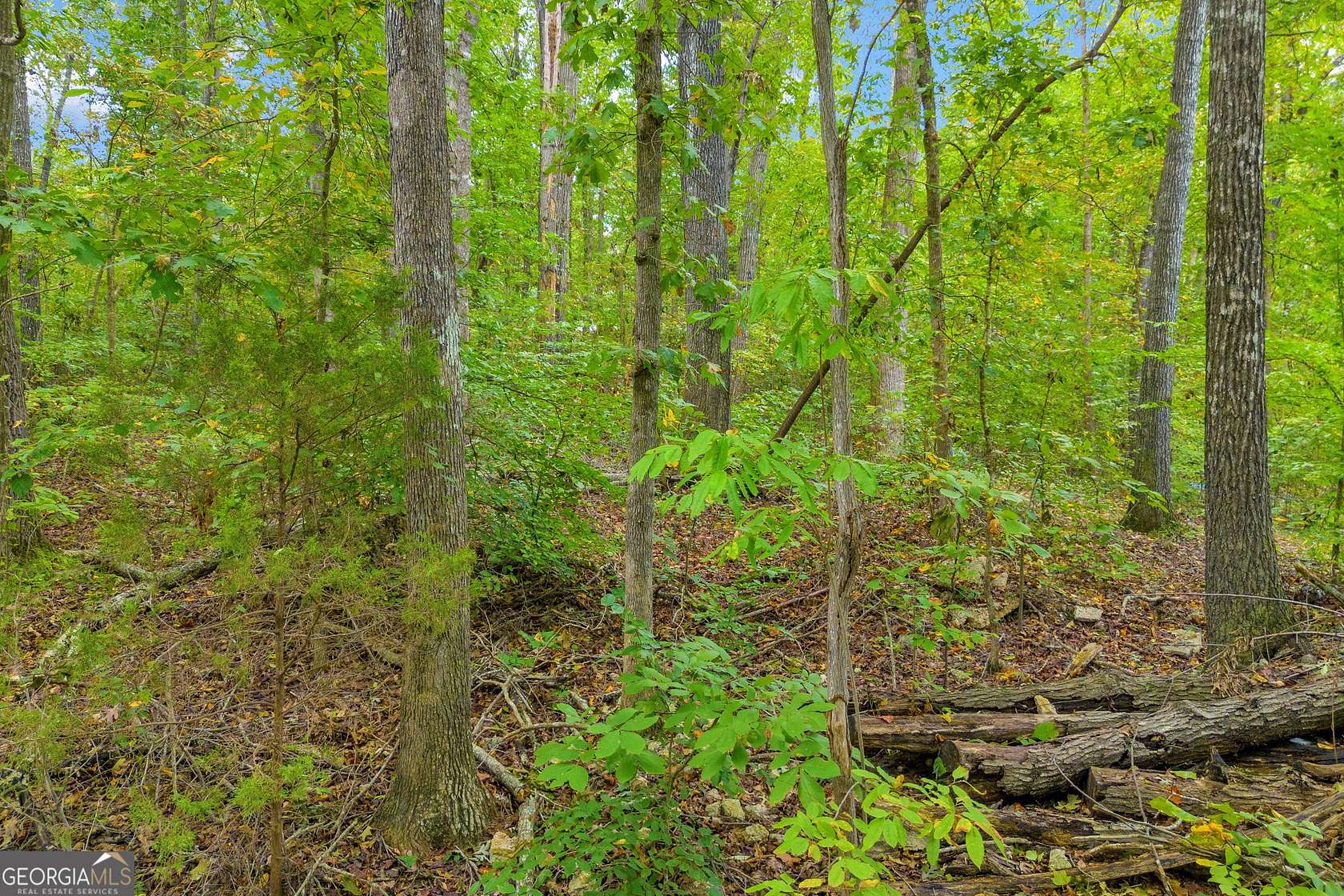 0.25 Acres of Residential Land for Sale in Lavonia, Georgia