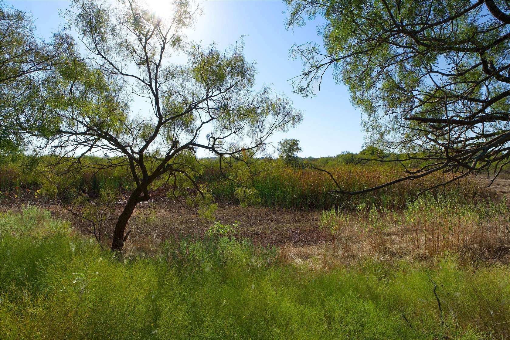 175 Acres of Recreational Land for Sale in Ringgold, Texas