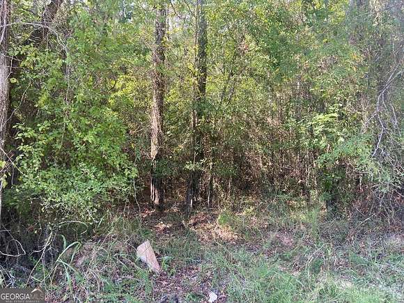 10 Acres of Land for Sale in Crawfordville, Georgia