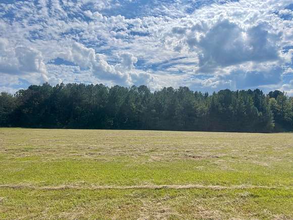 2 Acres of Land for Sale in Carthage, Mississippi