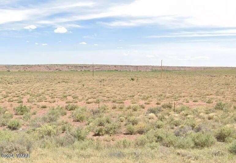 37 Acres of Recreational Land & Farm for Sale in Sanders, Arizona