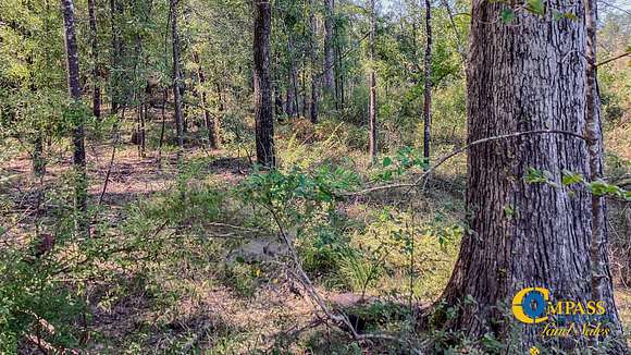 40 Acres of Land for Sale in Marion, Louisiana