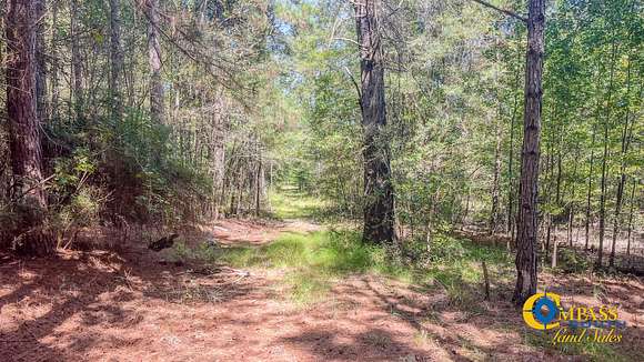 100 Acres of Land for Sale in Marion, Louisiana