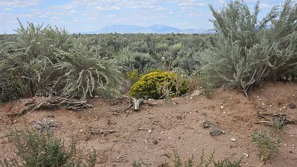 1 Acre of Residential Land for Sale in Belen, New Mexico