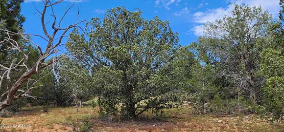 40.22 Acres of Agricultural Land for Sale in Ash Fork, Arizona