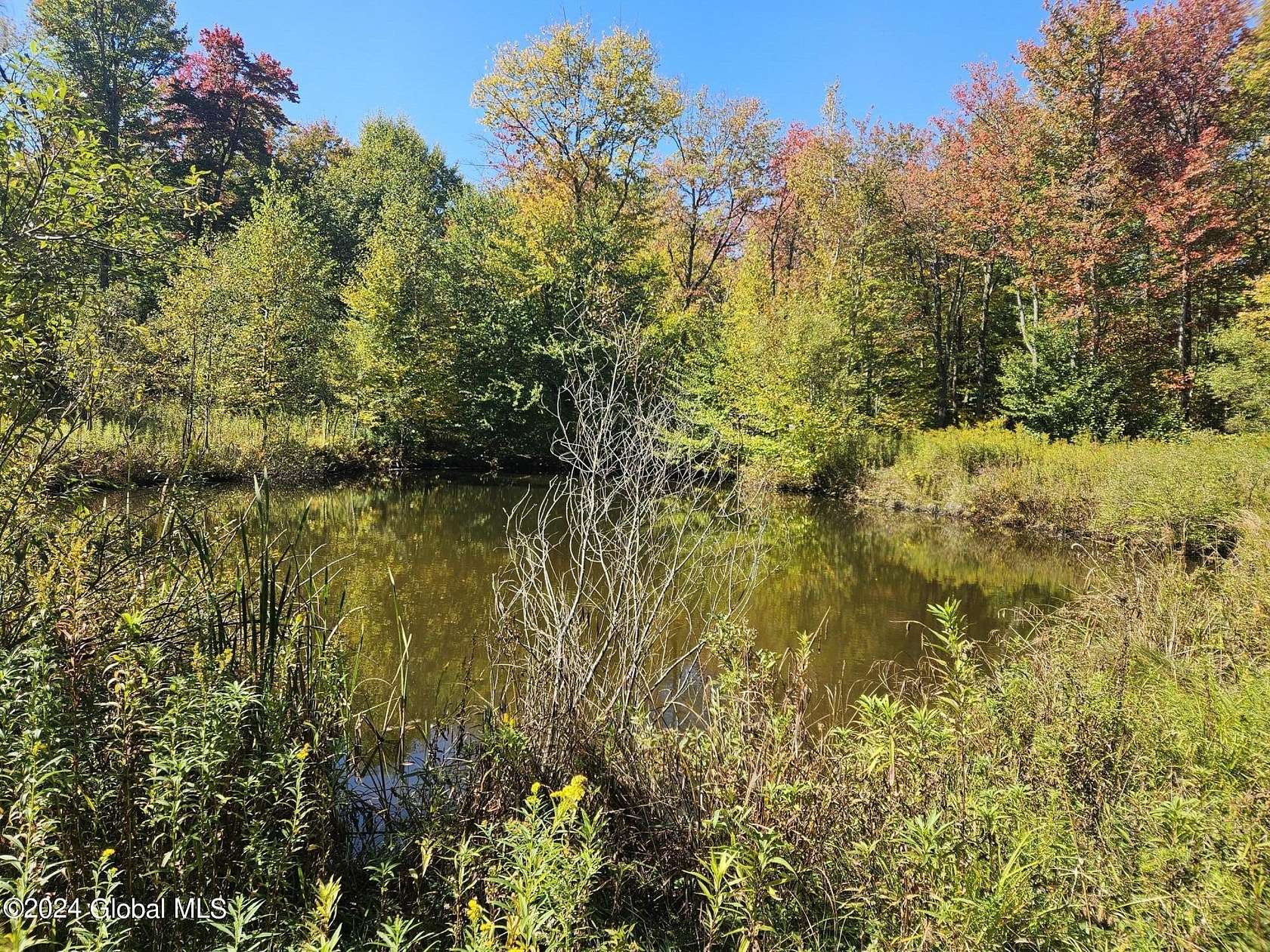 9.22 Acres of Land for Sale in Decatur, New York