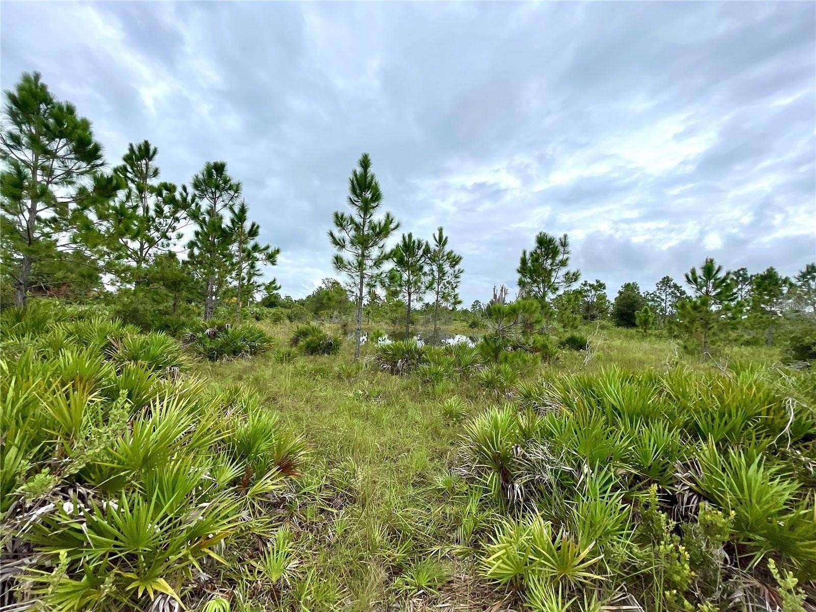 5.01 Acres of Land for Sale in Punta Gorda, Florida