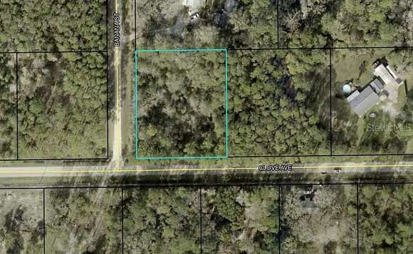 0.98 Acres of Residential Land for Sale in Bunnell, Florida