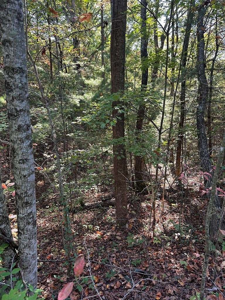 5.78 Acres of Land for Sale in Ellijay, Georgia