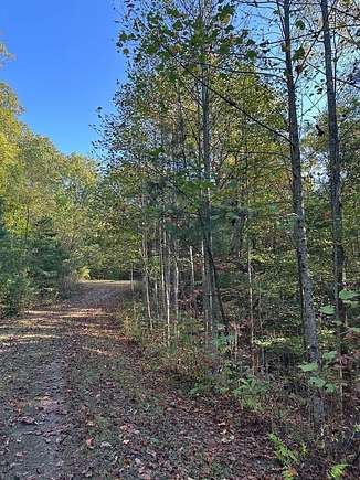 5.78 Acres of Land for Sale in Ellijay, Georgia