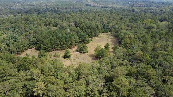 20 Acres of Land for Sale in Ridge Spring, South Carolina