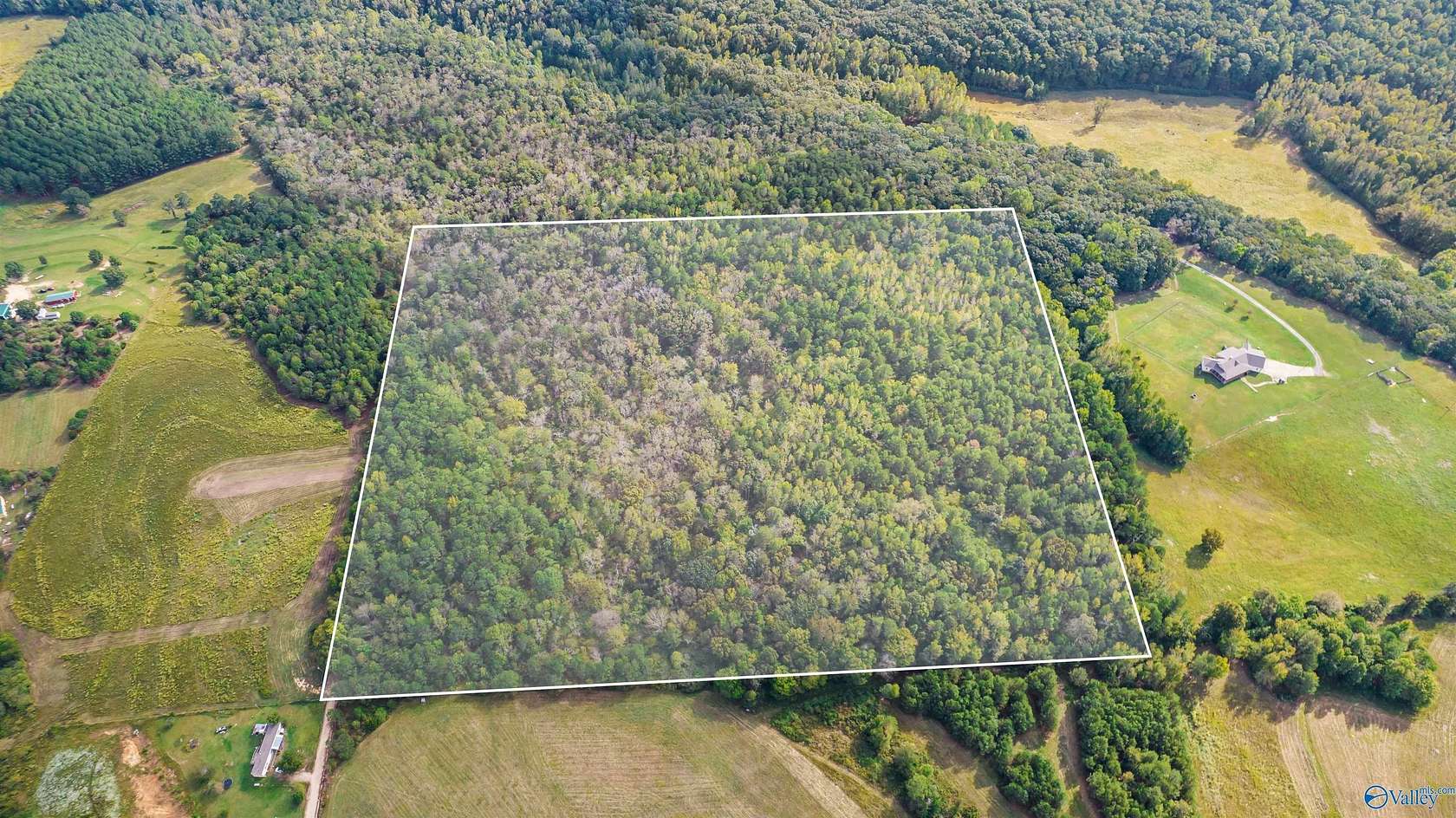 40 Acres of Recreational Land for Sale in Collinsville, Alabama