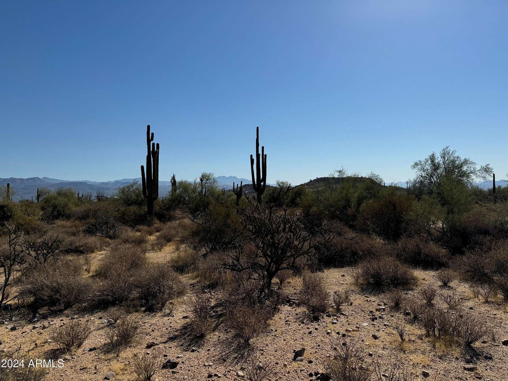 1 Acre of Residential Land for Sale in Rio Verde, Arizona