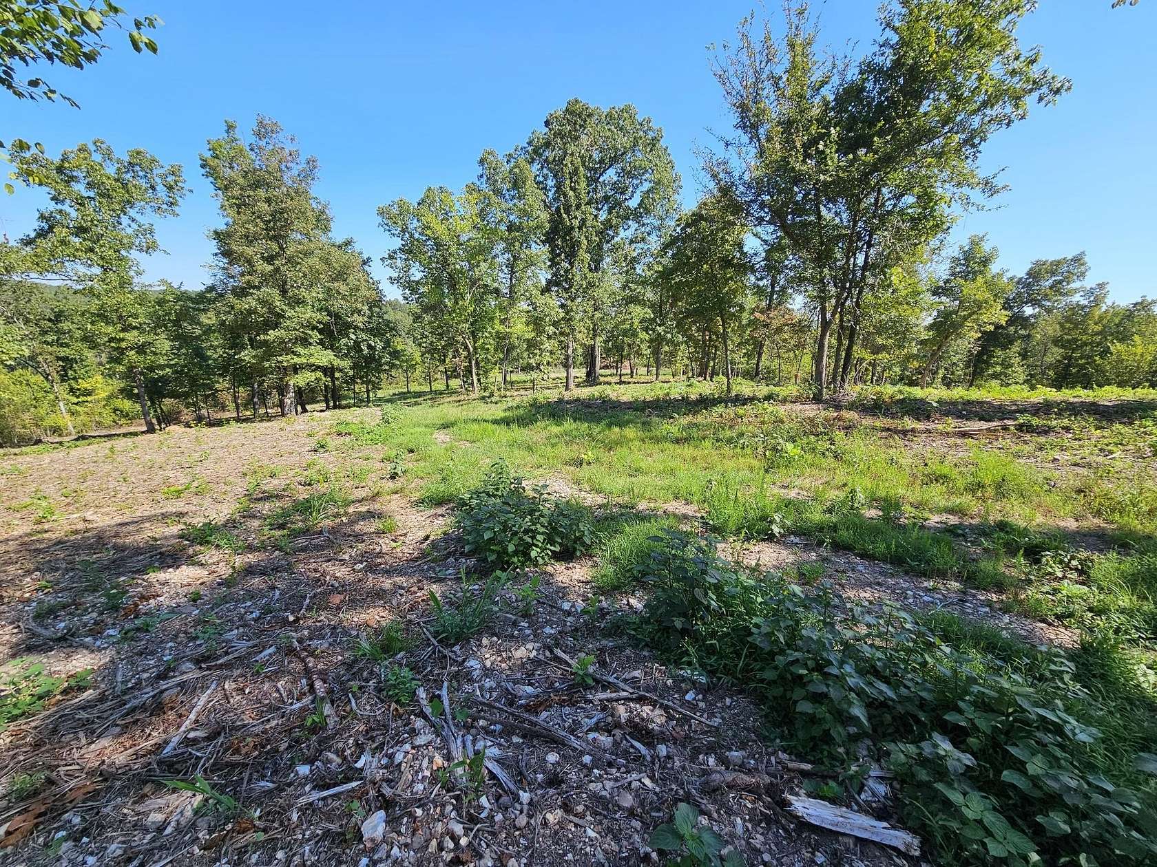 6.97 Acres of Land for Sale in Anderson, Missouri