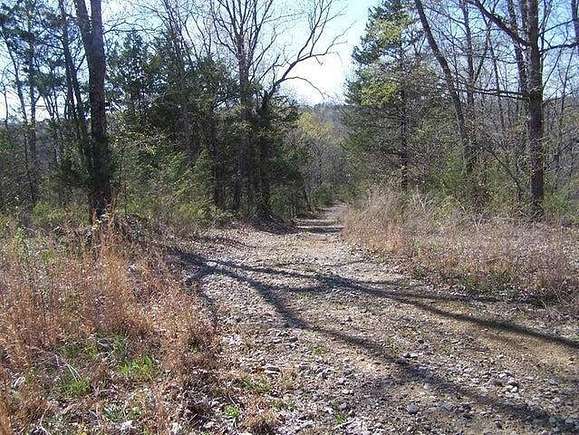 22.83 Acres of Recreational Land & Farm for Sale in Burkesville, Kentucky