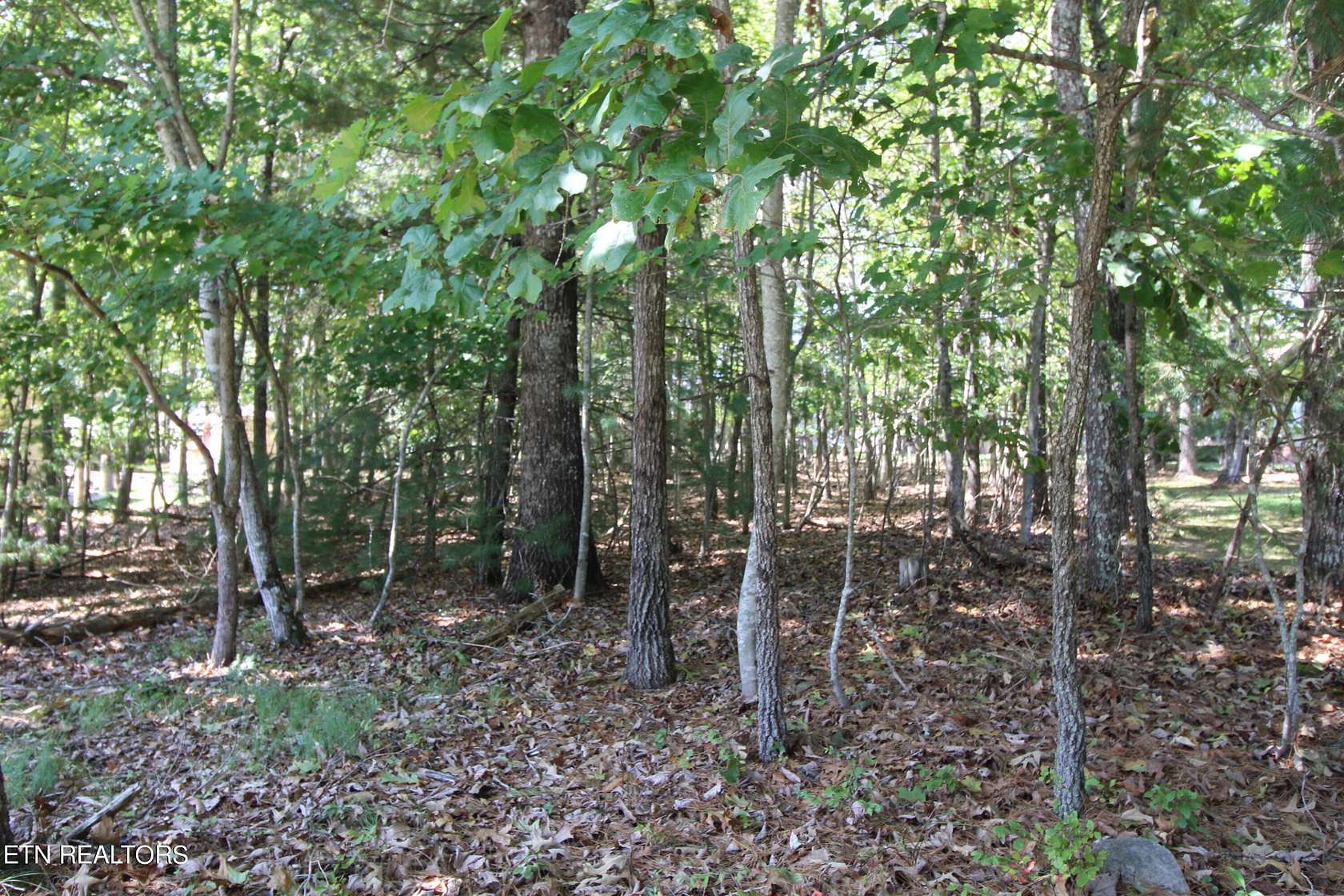 0.25 Acres of Residential Land for Sale in Crossville, Tennessee