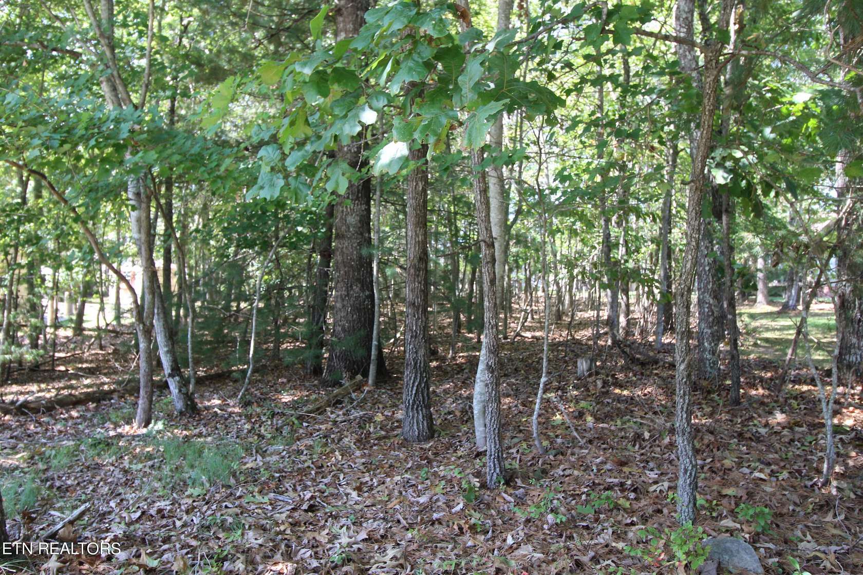 0.25 Acres of Residential Land for Sale in Fairfield Glade, Tennessee