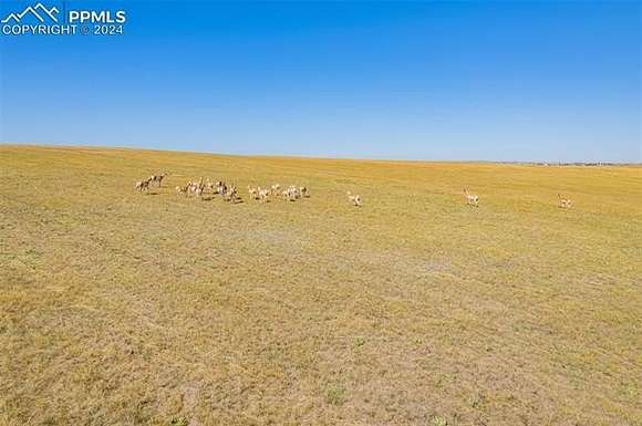 35.71 Acres of Land for Sale in Peyton, Colorado