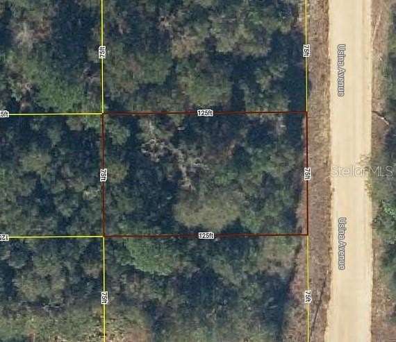 0.22 Acres of Residential Land for Sale in Interlachen, Florida