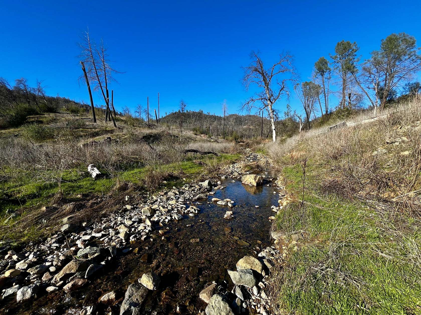 20 Acres of Land for Sale in Redding, California