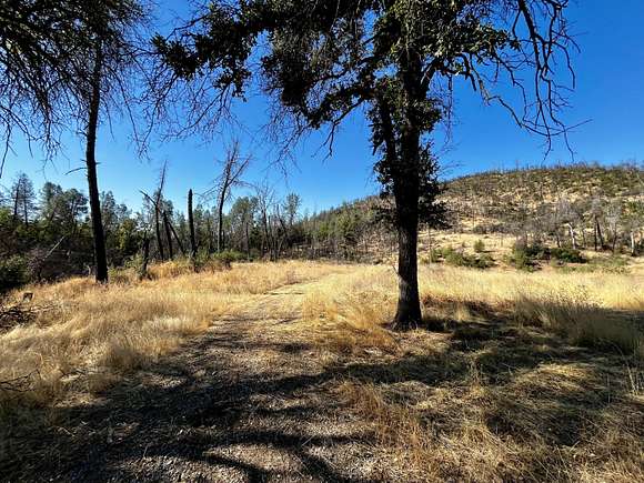 20 Acres of Land for Sale in Redding, California