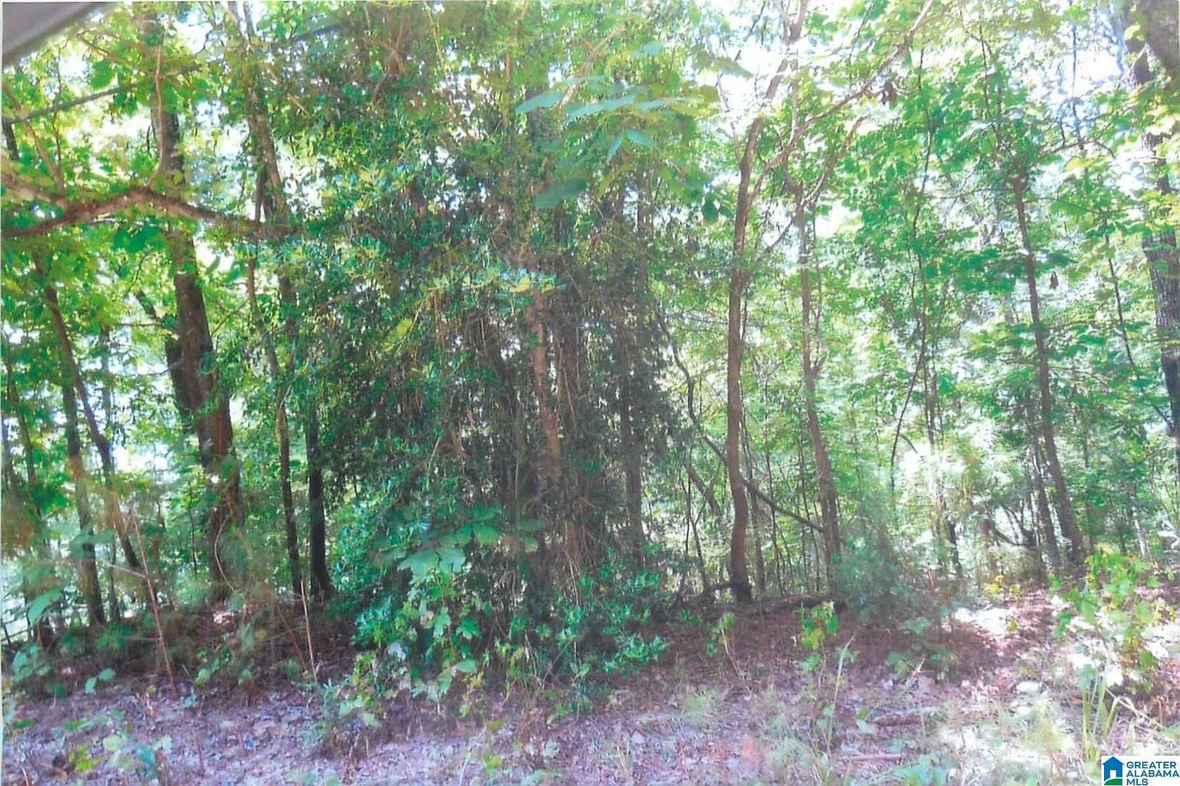 20 Acres of Land for Sale in Talladega, Alabama