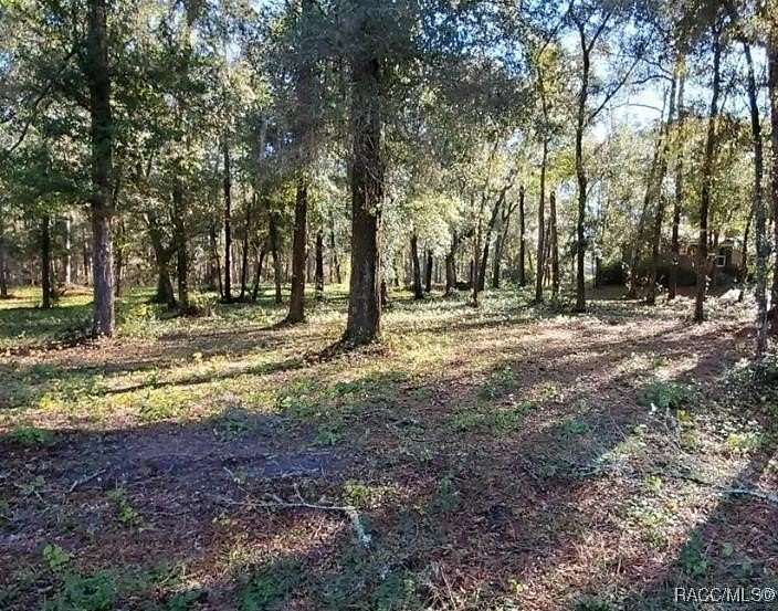 1.06 Acres of Residential Land for Sale in Dunnellon, Florida