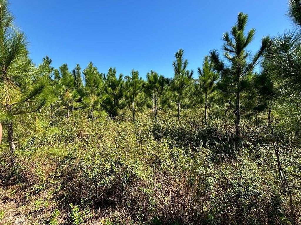 4.91 Acres of Residential Land for Sale in Bell, Florida