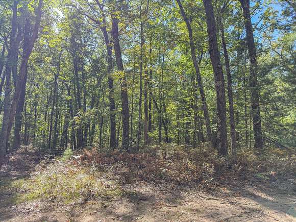 0.44 Acres of Land for Sale in Baldwin, Michigan