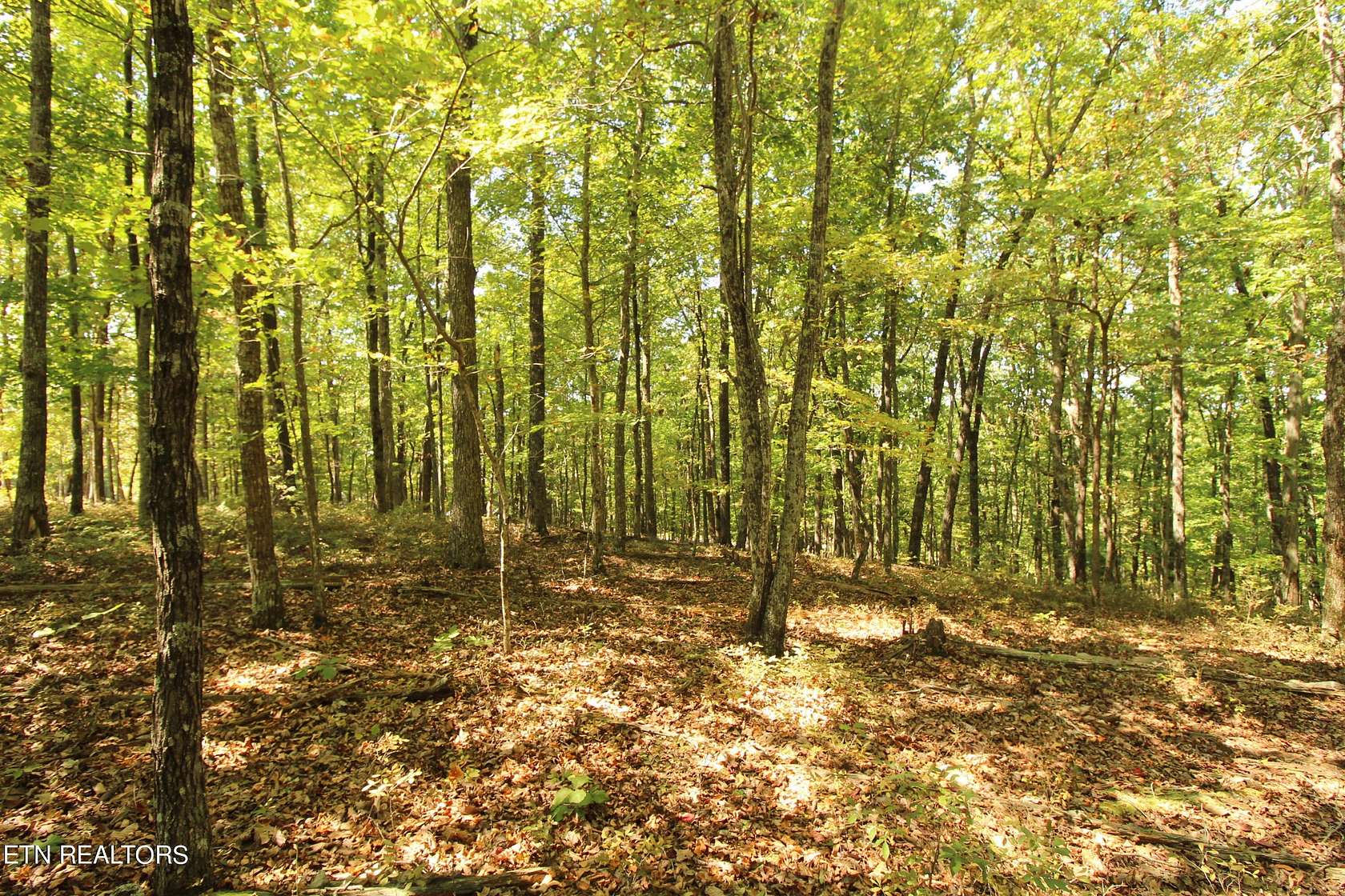 0.3 Acres of Residential Land for Sale in Fairfield Glade, Tennessee