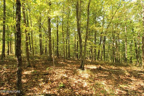 0.3 Acres of Residential Land for Sale in Fairfield Glade, Tennessee