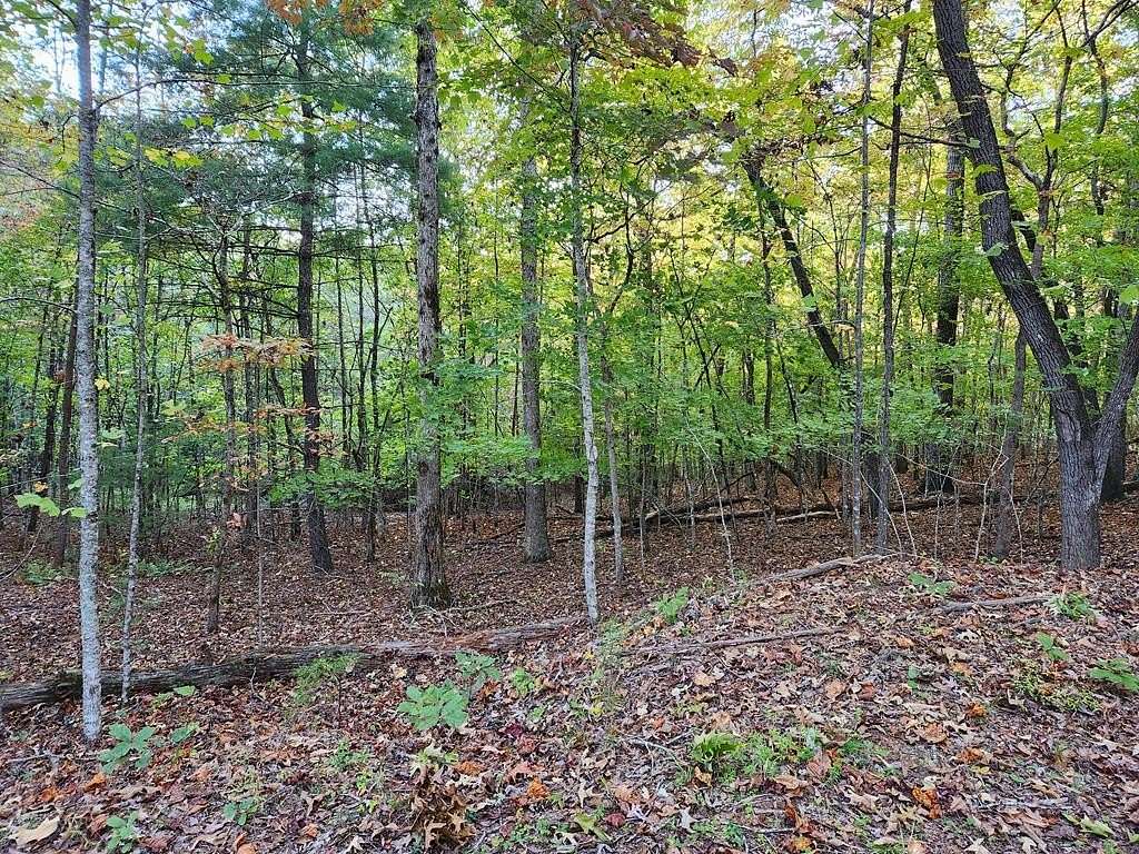 2.65 Acres of Land for Sale in Mineral Bluff, Georgia