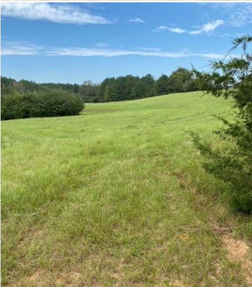 74 Acres of Recreational Land for Sale in Columbia, Alabama